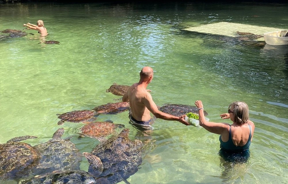 Nungwi Natural Aquarium